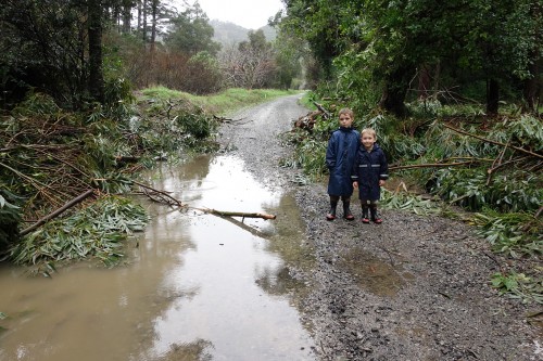 The council came through and ran some chainsaws for a while