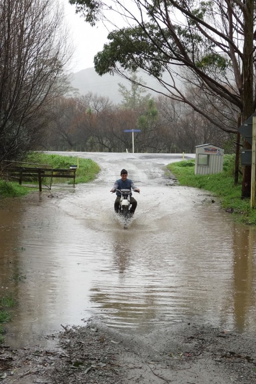 Neighbor goes for it