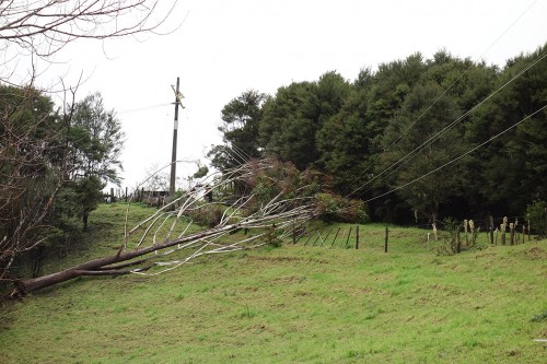 We didn't hold our breathes waiting for this to get sorted out